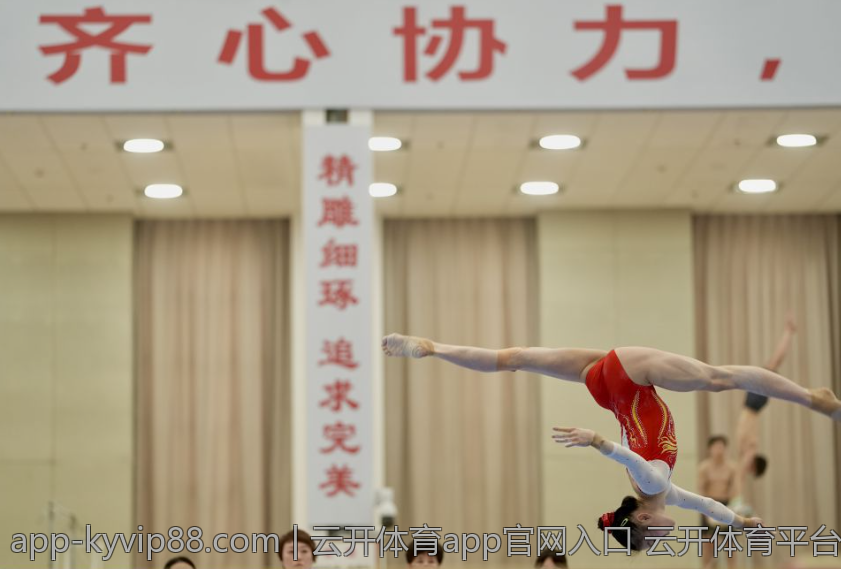 云开体育app官网入口 云开体育平台合法入口途径